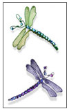 Dragonfly Pin Kits