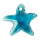 Indicolite Starfish